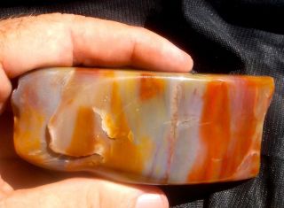 Petrified Rainbow Agitated Wood Polished Colorful Stone 5.  6 Oz - 158 Grams