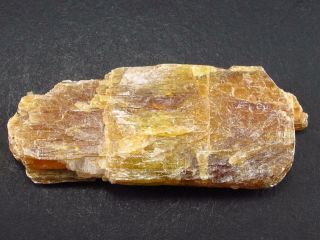 Rare Orange Kyanite Crystal From Tanzania - 1.  8 "