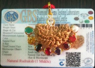 1 Mukhi Ek Rudraksha One Face Rudraksh Navratan Pendant Aa,  Lab Certified