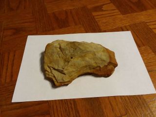 Authentic North Carolina Guilford Chipped Axe Or Hand Axe.  Chatham Co Find.