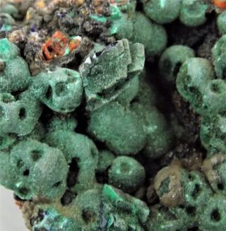 Malachite Ps Azurite Crystals On Botryoidal - 4.  7 Cm - Bisbee,  Arizona 21111