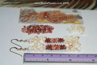 2 1/2” Momi & Kahelelani Shell Earrings From Niihau 358