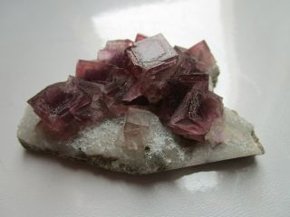 Red - Purple Fluorite On Quartz,  Tongren Mine,  Guizhou,  China
