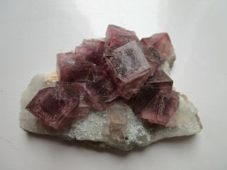 Red - purple Fluorite on quartz,  Tongren Mine,  Guizhou,  China 2