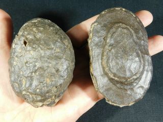 A Huge Natural Moqui Marbles Or Shaman Stones Found In Utah 627gr E