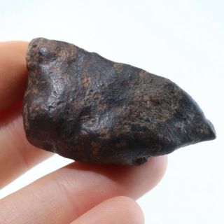 22g Nwa 869 Brecciated Chondrite Meteorite North West Africa A3006