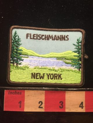 Vintage Fleischmanns York State Souvenir Patch Delaware County 68z5