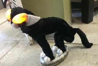 Gemmy Animated Halloween Black Fraidy Cat Orange Eyes Lights Sings Moves Hisses 2
