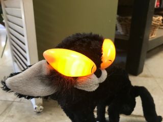 Gemmy Animated Halloween Black Fraidy Cat Orange Eyes Lights Sings Moves Hisses 3