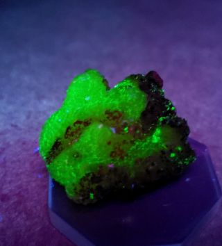 Stunning - Fluorescent Green/yellow Adamite Crystals,  Ojuela Mine Mexico