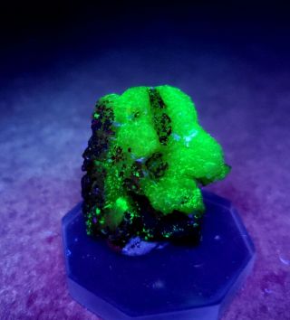 STUNNING - Fluorescent Green/Yellow Adamite crystals,  Ojuela mine Mexico 4