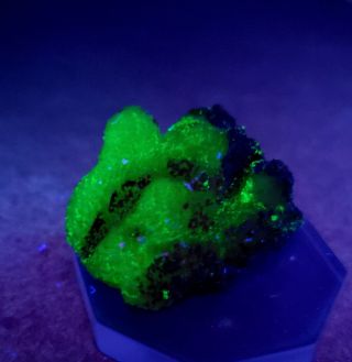 STUNNING - Fluorescent Green/Yellow Adamite crystals,  Ojuela mine Mexico 7