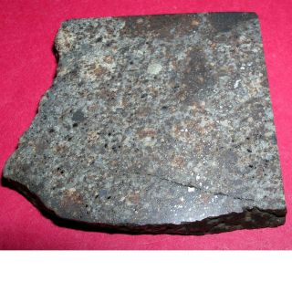 Sahara 02500 Meteorite 36.  6 Gram Polished Slice