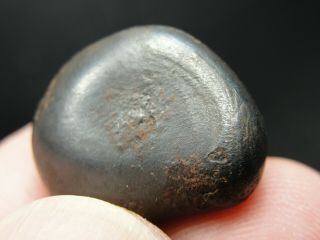 Meteorite - Sikhote - Alin - Iron - Iiab - Sa - 1599 - 17.  03g - Coa/observed Fall 1947