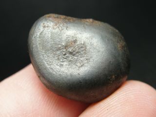 Meteorite - Sikhote - Alin - Iron - IIAB - SA - 1599 - 17.  03g - COA/Observed Fall 1947 2