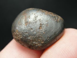 Meteorite - Sikhote - Alin - Iron - IIAB - SA - 1599 - 17.  03g - COA/Observed Fall 1947 3