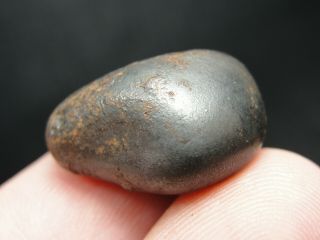 Meteorite - Sikhote - Alin - Iron - IIAB - SA - 1599 - 17.  03g - COA/Observed Fall 1947 4