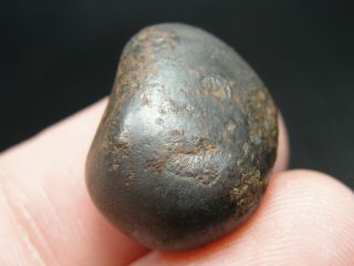 Meteorite - Sikhote - Alin - Iron - IIAB - SA - 1599 - 17.  03g - COA/Observed Fall 1947 5