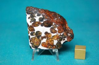 Sericho Pallasite Meteorite 42.  4 Grams