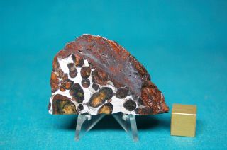 Sericho Pallasite Meteorite 40.  4 Grams