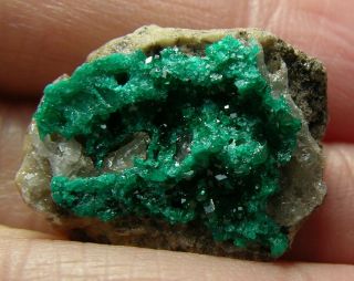 17 3/4 Inch Kazakhstan 100 Natural Dioptase Crystal In Matrix Specimen 21mm
