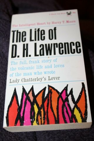 Vintage Victorian Sleaze Paperback Book The Life Of D.  H Lawrence 62 Harry Moore