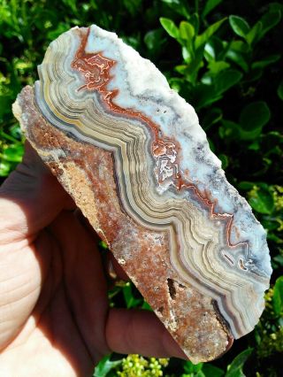Polished Vintage Mexican Crazy Lace Red Agate Laguna Parallax Pseudomorph 9.  9oz