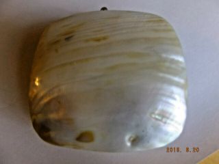 Antique real Sea Shell Painted Purse - Washington DC Souvenir = 3 1/2 