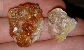 2 Hyalite Opals Fluorescent Gem Stone San Luis Potosi,  Mexico M10
