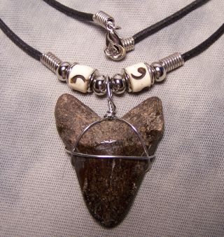 Megalodon Shark Tooth Necklace 1 1/2 " Fossil Teeth Fishing Scuba Dive Meg Tooth