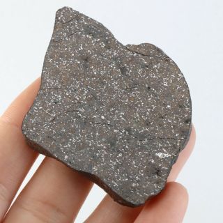 35g Rare Chondrite Meteorite Crust Meteorit Chondrit Slice Ql A3075