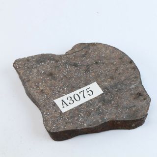 35g Rare chondrite meteorite crust Meteorit Chondrit slice QL A3075 6