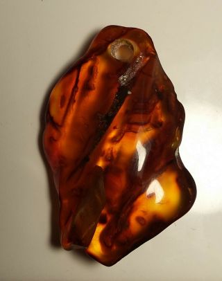 Fossil Plant Inclusion Baltic Amber Amulet Pendant 9 G.