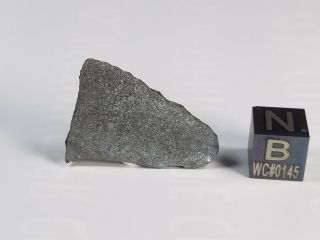 NWA 8737 Carbonaceous Chondrite CO 3.  0 Morocco 2.  43 gram slice 3