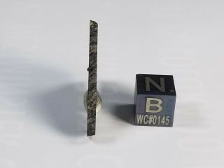 NWA 8737 Carbonaceous Chondrite CO 3.  0 Morocco 2.  43 gram slice 4
