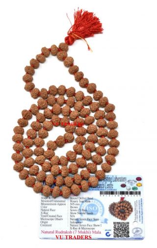 7 Mukhi Rudraksha Mala / Seven Face Rudraksh Rosary Java Lab Certified 9 - 10 Mm