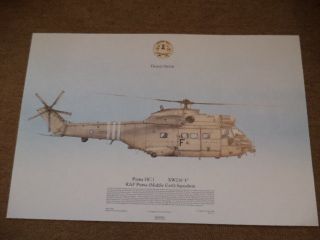 Squadron Prints Raf Puma Helicopter Arabian Gulf 90 - 91 Xw216 F.  1991 Print