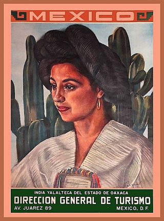Mexico Mexican Senorita Cactus Vintage Travel Advertisement Art Poster Print