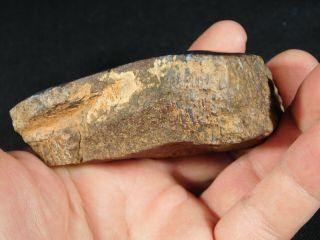 A Polished Dinosaur Gem Bone Fossil With Dark Cells From Utah 205gr e 5