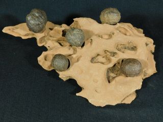 Five Moqui Marbles On A Big Natural Navajo Sandstone Formation Utah 1110gr E