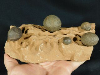 Five Moqui Marbles On A Big Natural Navajo Sandstone Formation Utah 1082gr E
