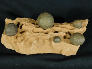 FIVE Moqui Marbles on a Big Natural Navajo Sandstone Formation Utah 1082gr e 2