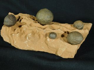 FIVE Moqui Marbles on a Big Natural Navajo Sandstone Formation Utah 1082gr e 6