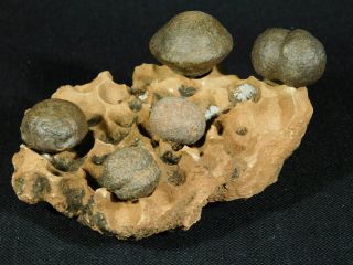 Five Moqui Marbles On A 100 Natural Navajo Sandstone Formation Utah 279gr E