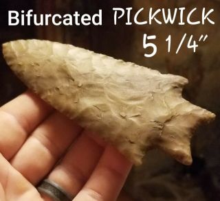 Huge Bifurcated Pickwick Arrowhead Spear Point Native Indian Artifact 5 1/4 "