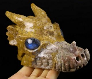 5.  1 " Ocean Jasper Carved Crystal Dragon Skull,  Labradorie Eyes