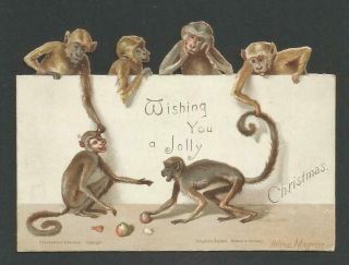 V62 - Monkeys Playing - Helena Maguire - Victorian Diecut Xmas Card