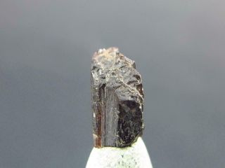 Very Rare Painite Crystal From Asia - 1.  50 Carats