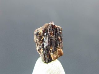 Very Rare Painite Crystal From Asia - 1.  20 Carats