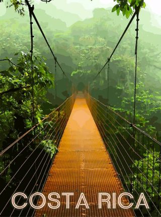 Costa Rica Rainforest Bridge Central America Travel Poster Advertisement
